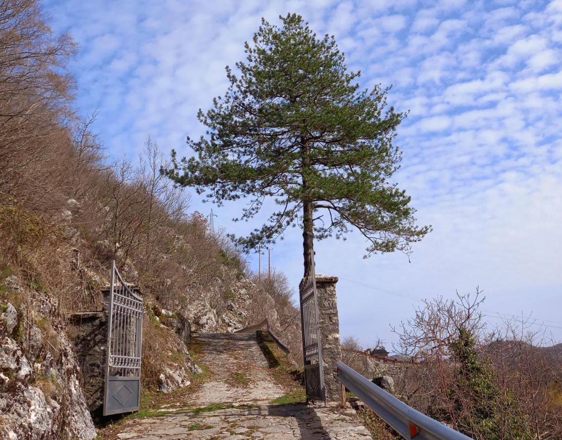 Konak Ugnji-Village Cetinje Exterior foto