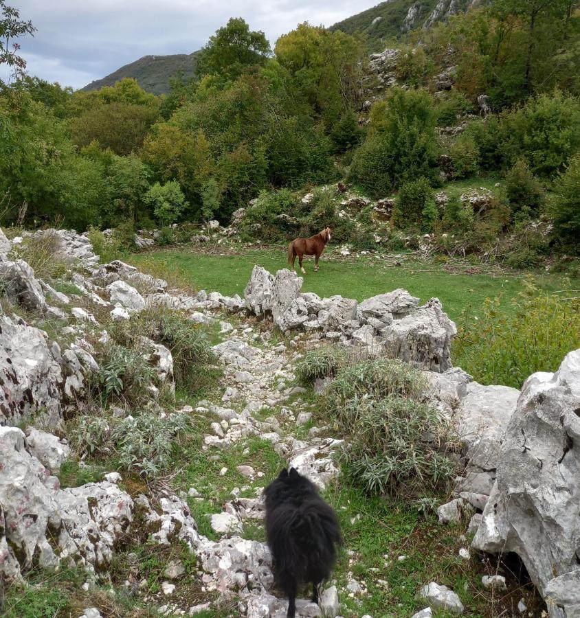 Konak Ugnji-Village Cetinje Exterior foto